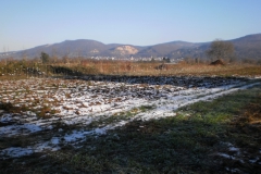 Rollei Digital Camera