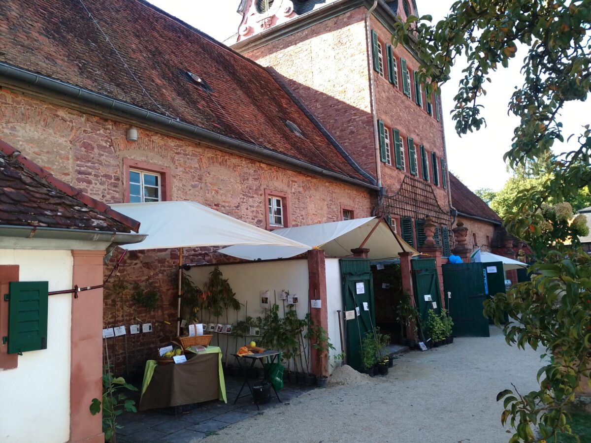 Ausblick auf die Herbstmärkte